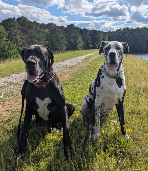 Buster and Joy